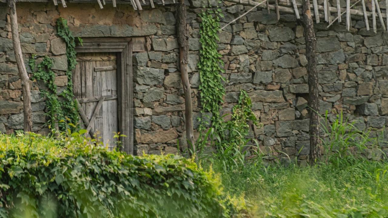 Amaya Kasauli Zewnętrze zdjęcie